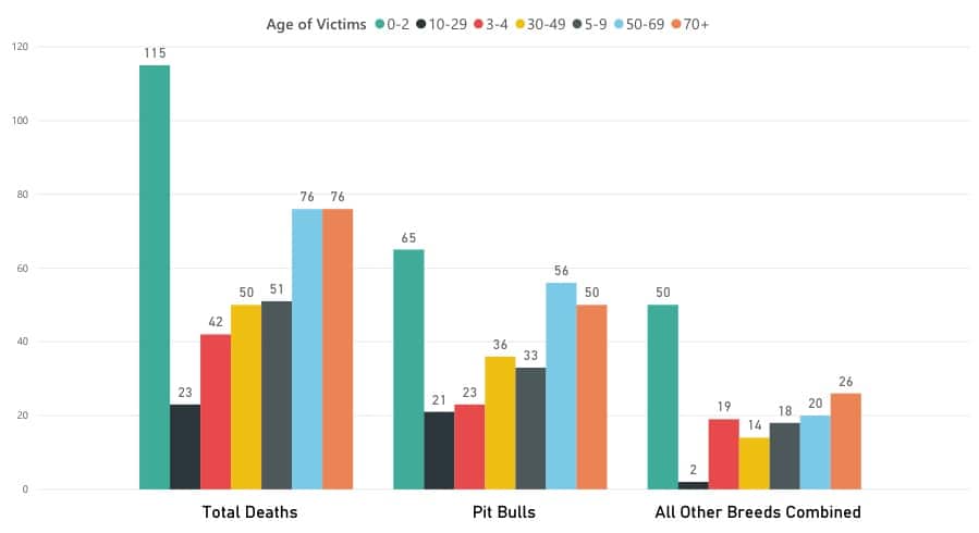 Dog Attack Statistics