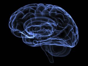 traumatic brain injury study
