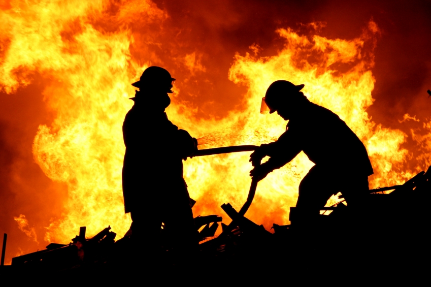 Wildfire